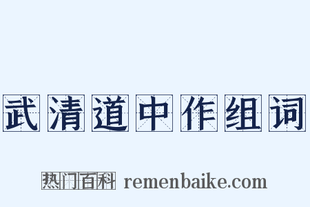武清道中作组词是什么意思的图片